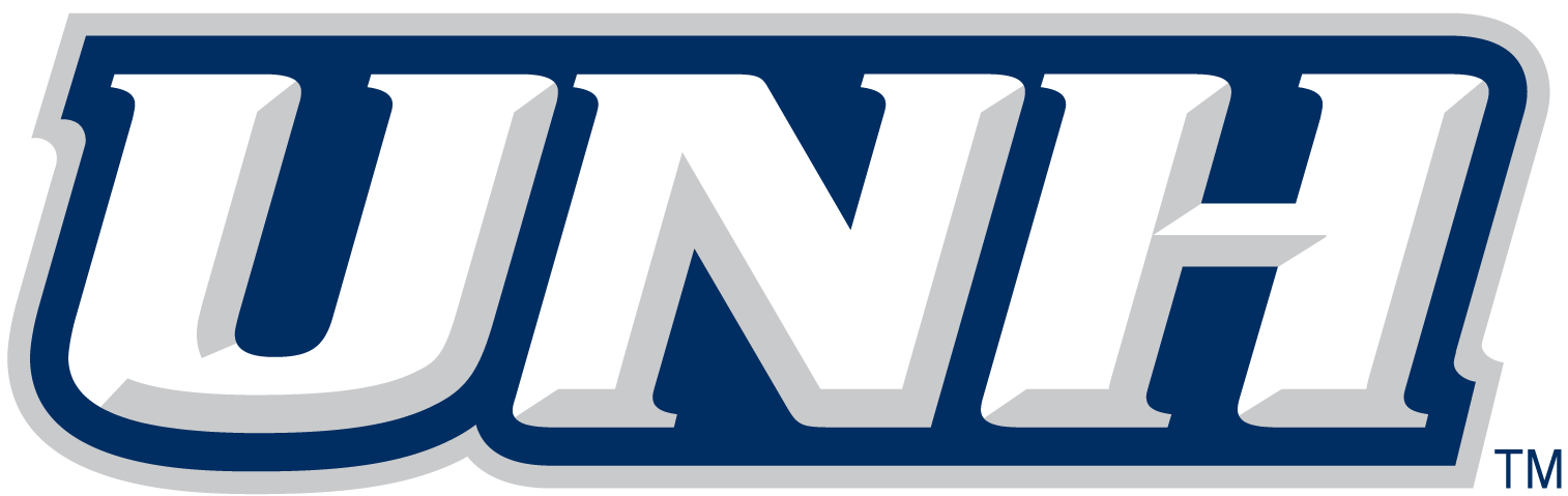 New Hampshire Wildcats 2000-Pres Wordmark Logo v3 DIY iron on transfer (heat transfer)